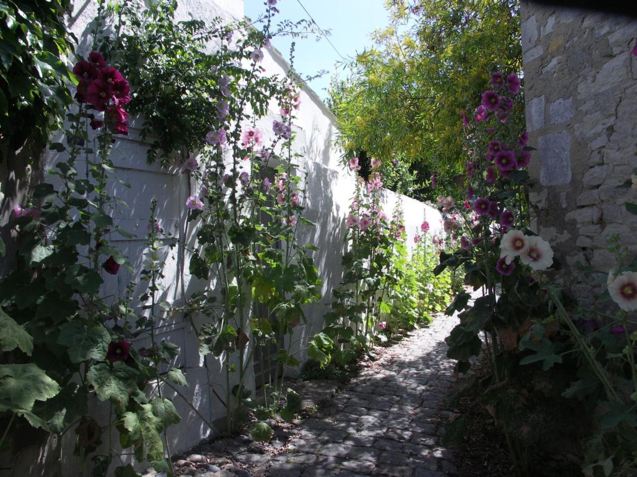 Maison Santoline Saint-Martin-de-Ré Exterior foto
